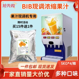 BIB果汁冲饮现调机蓝莓草莓柳橙芒果浓缩商用快餐店专用糖浆 包邮