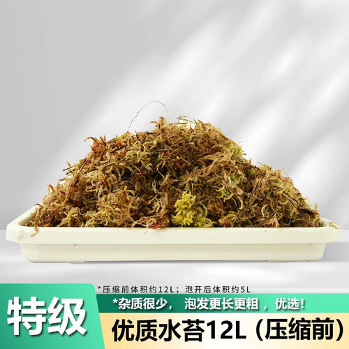尚洋园艺水苔营养土蝴蝶兰干苔藓专用土 爬宠乌龟冬眠 水苔(特级)