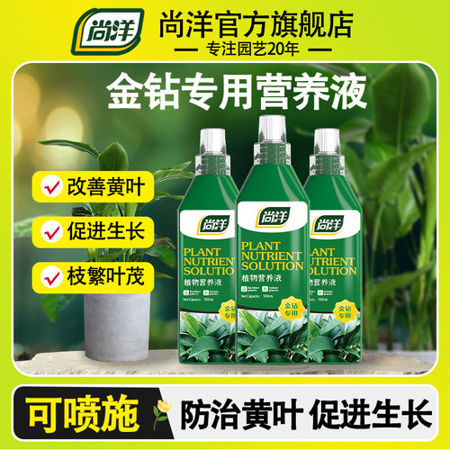 金钻专用肥料营养液室内