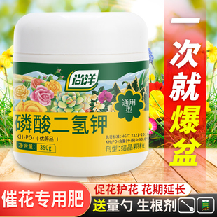 磷酸二氢钾肥料花卉专用植物盆栽家用通用型颗粒叶面磷钾肥养花用
