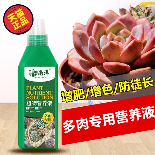 多肉植物专用液体肥销量排行榜 多肉植物专用液体肥品牌热度排名 小麦优选