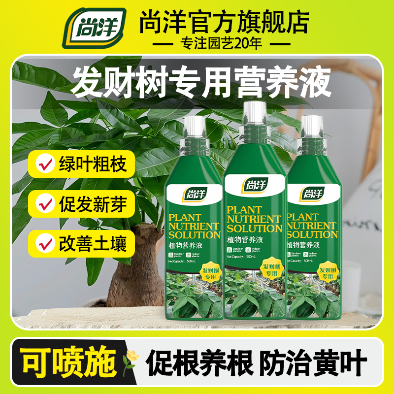 发财树专用营养液肥料专治黄叶