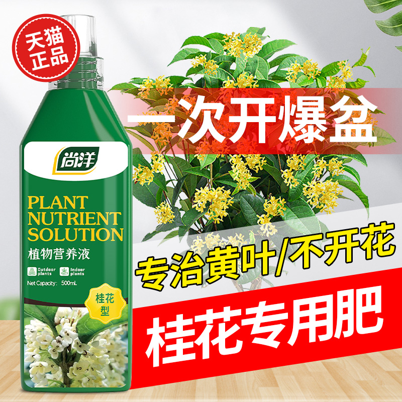 有机桂花树营养液盆栽复合肥