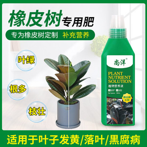 橡皮树专用肥料营养液四季常青黑金刚室内室外盆栽通用型有机肥料