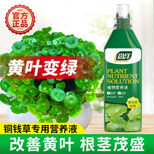 铜钱草专用营养液2件95折