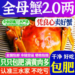 三水家大闸蟹全母蟹1.9-2.3两鲜活螃蟹洪泽湖大闸蟹江苏水产活蟹