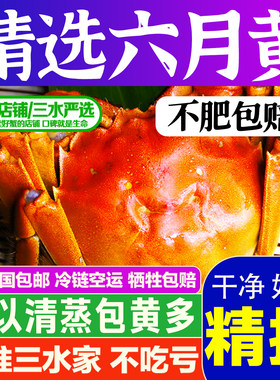 三水家大闸蟹六月黄2.4-2.7两鲜活螃蟹洪泽湖大闸蟹黄多江苏水海