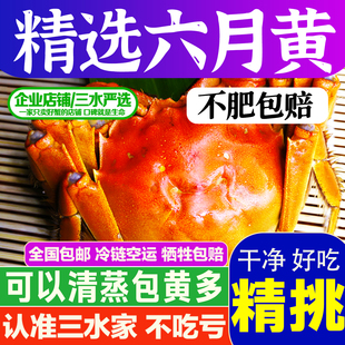 三水家大闸蟹六月黄2.4-2.7两鲜活蟹螃蟹洪泽湖大闸蟹黄多江苏水