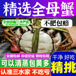 三水家大闸蟹全母蟹2.4-3.2两黄多鲜活螃蟹洪泽湖大闸蟹江苏水海