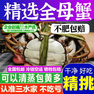 三水家大闸蟹全母蟹2.4-3.2两黄多鲜活螃蟹洪泽湖大闸蟹江苏水海