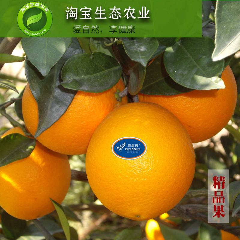 精品正宗赣南脐橙江西信丰原生秀甜橙子产地直发新鲜水果顺丰包邮,水产肉类/新鲜蔬果/熟食,橙,淘宝优惠券,粉丝福利购,淘宝优惠卷