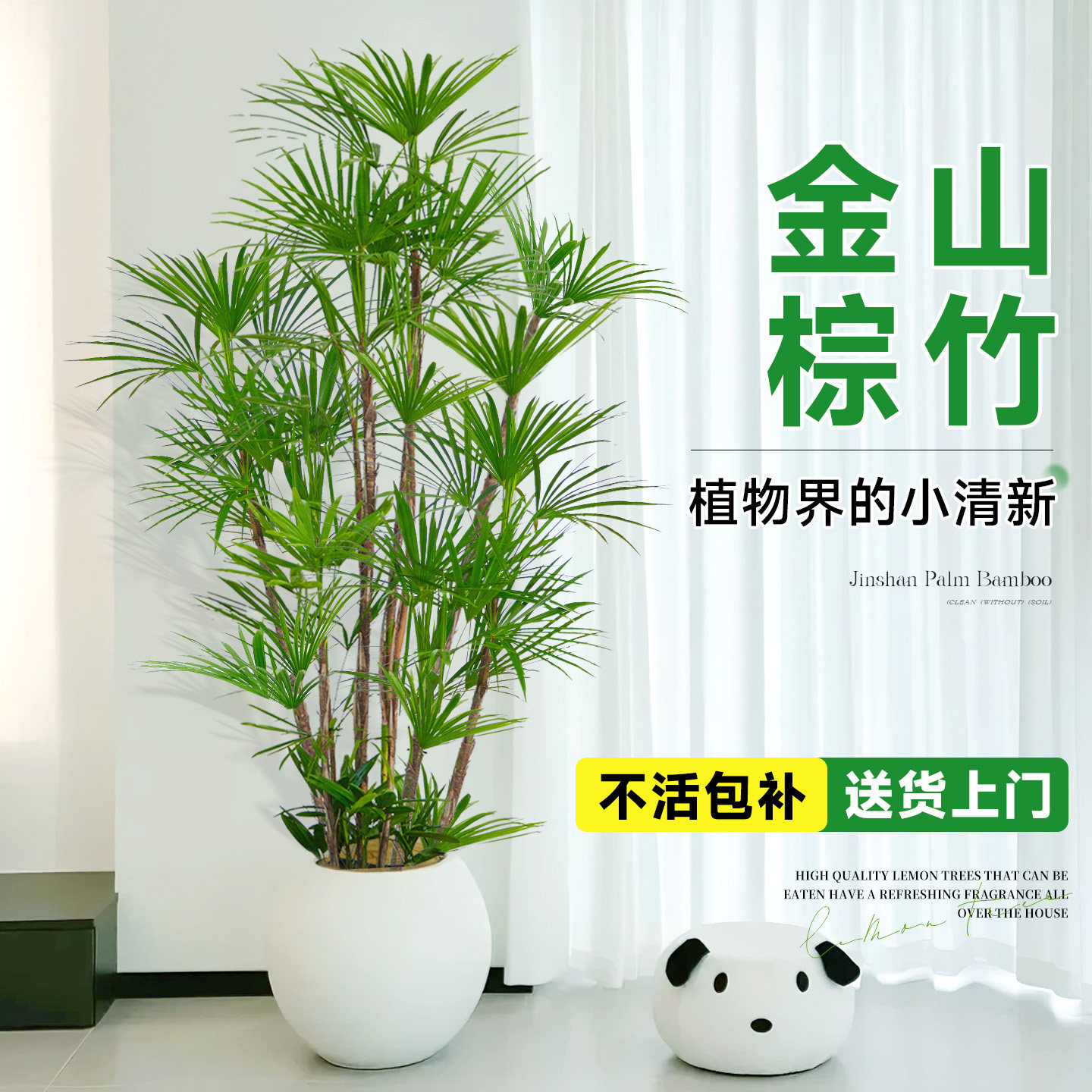 金山棕竹室内大型绿植高级感客厅大盆栽办公室除甲醛四季常青好养,鲜花速递/花卉仿真/绿植园艺,大型绿植/成品组合盆栽,淘宝优惠券,粉丝福利购,淘宝优惠卷
