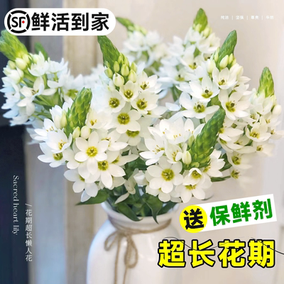 【鲜活到家】圣心百合鲜花