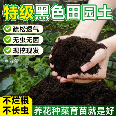 5A特级纯正黑田园土有机种菜土