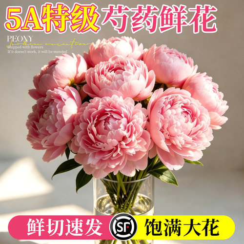 【5A特级】芍药鲜花云南基地直发