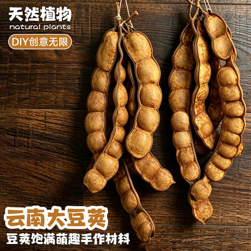 云南豆荚娃娃diy材料治愈手工