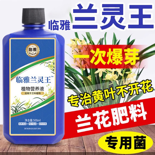 兰花专用肥料临雅兰灵王专治黄叶