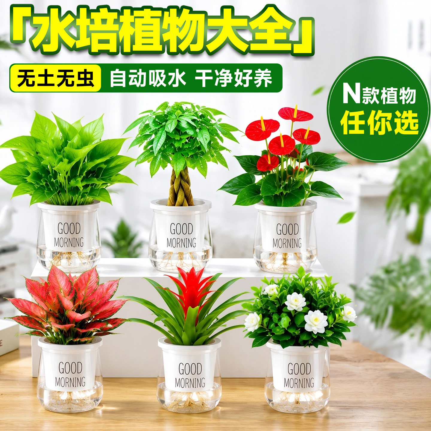桌面绿植居家氛围感好物图片