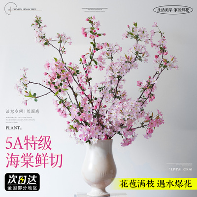 【5A特级鲜切海棠花】不活包赔