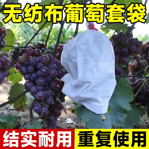 无纺布葡萄套袋水果防水防雨网袋