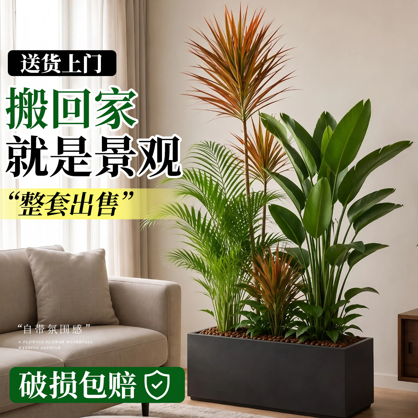 【设计师专研】真绿植造景组合
