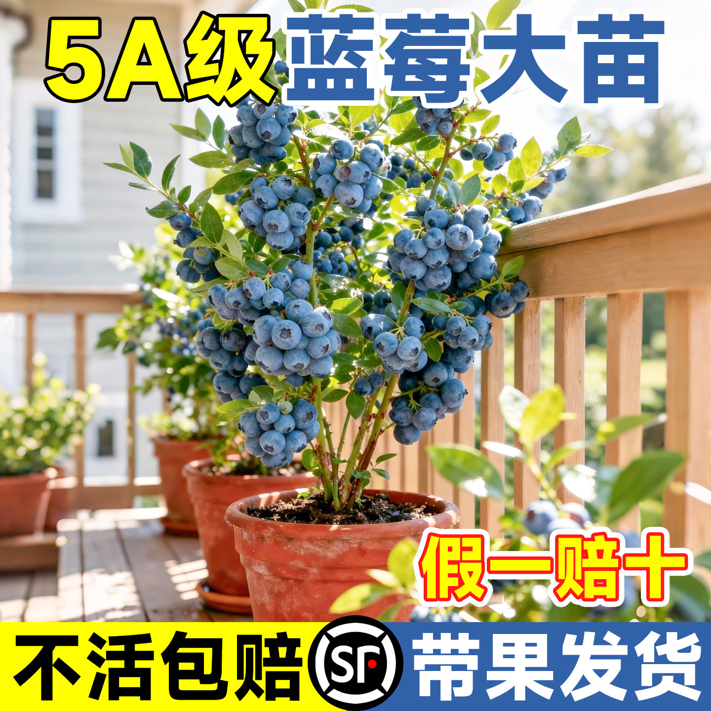 �����硿5A����Ʒ-L25 ��30-40cm�������ɻ�����+�ͷ��� ��ȫ������10W+��5A����ݮ�ش��� 25.9Ԫ