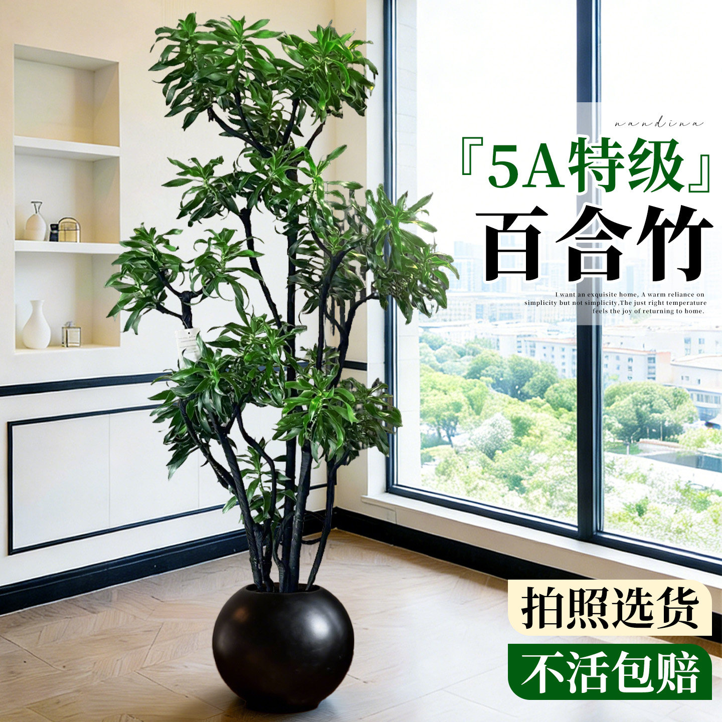 造型百合竹客厅绿植高级感室内大型植物盆栽轻奢落地大号旺宅好养,鲜花速递/花卉仿真/绿植园艺,大型绿植/成品组合盆栽,淘宝优惠券,粉丝福利购,淘宝优惠卷