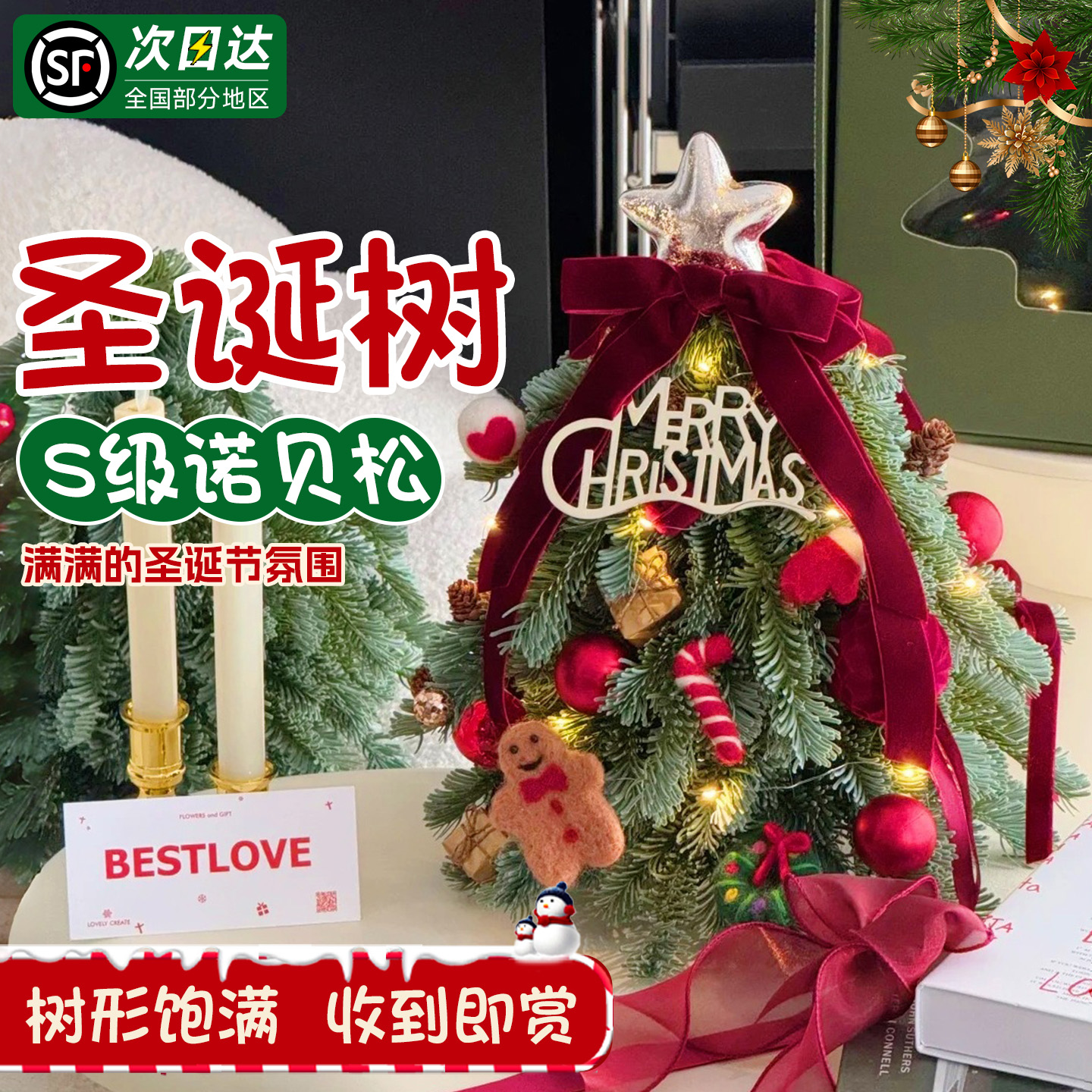 诺贝松圣诞树鲜切现发圣诞节摆件