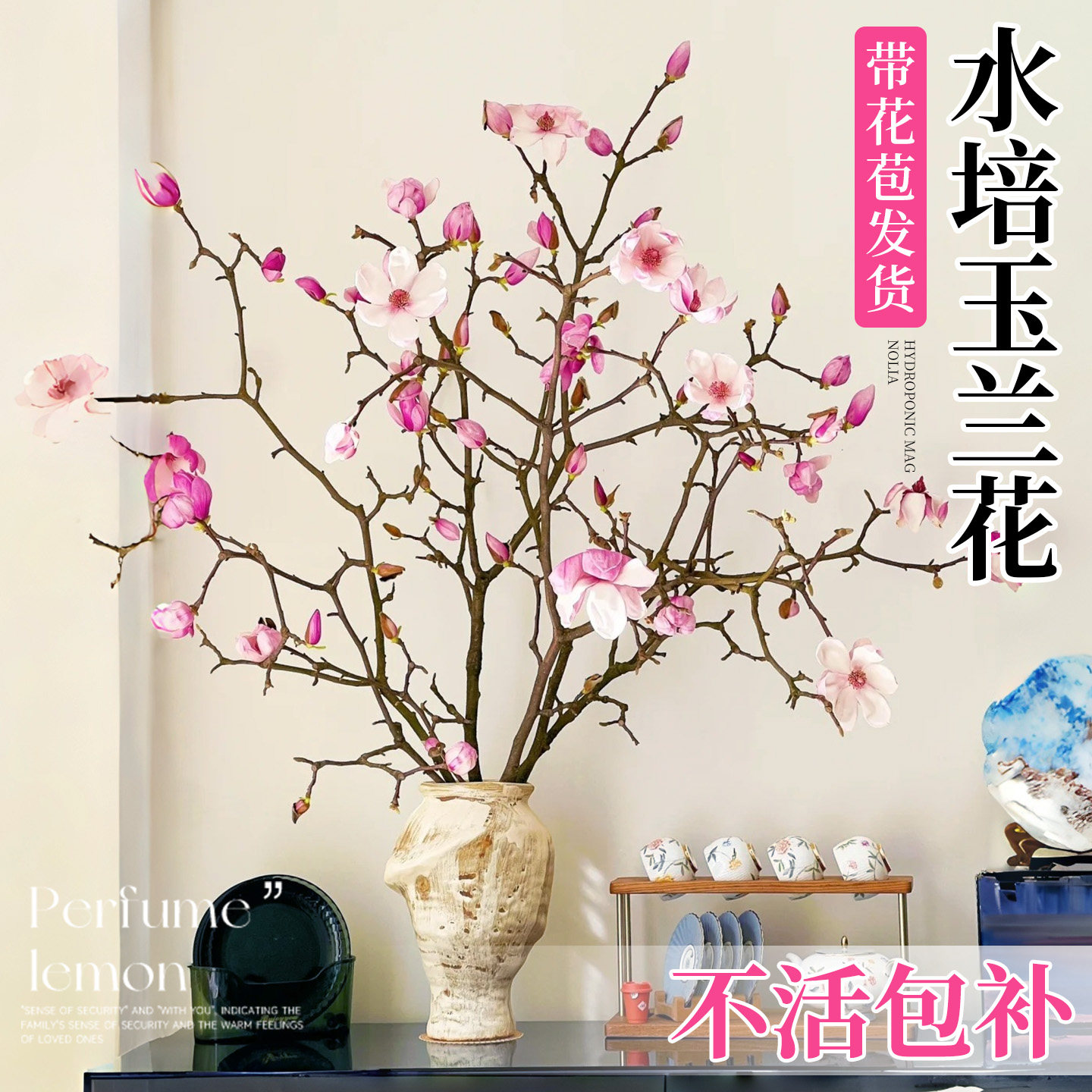 水培玉兰花鲜切枝带花苞红梅干枝水养鲜花卉室内好养耐寒植物盆栽