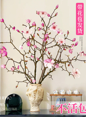 水培玉兰花鲜切枝带花苞红梅干枝水养鲜花卉室内好养耐寒植物盆栽