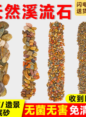 溪流石鱼缸专用底砂溪流缸造景主石摆件生态乌龟缸铺底沙子石头子