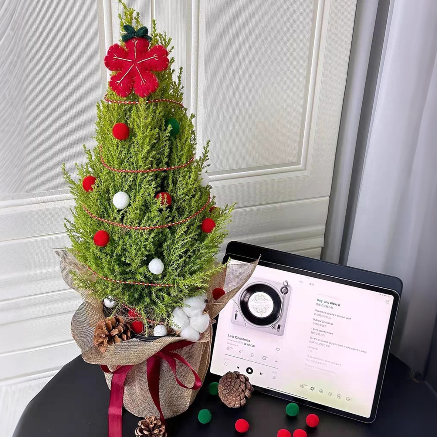 圣诞小香松盆栽满屋清新不活包赔