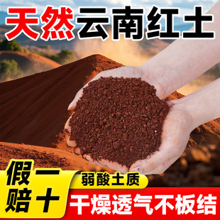 云南红土种植土蓝莓专用酸性土壤种花营养土颗粒养龟月季山茶桂花