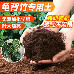 龟背竹专用营养土盆栽花卉土壤有机泥土家用种菜土养花通用肥种植
