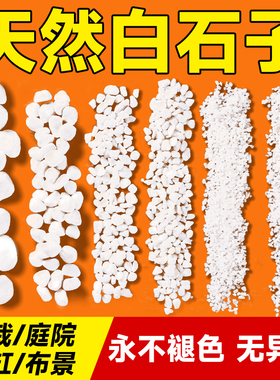 小白石子庭院造景鱼缸鹅卵石原石天然颗粒养花多肉盆栽装饰铺面石