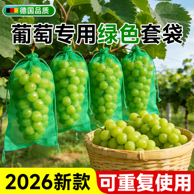 绿色葡萄专用套袋防虫防鸟尼龙袋