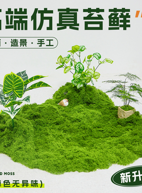仿真苔藓草皮造景仿生假青苔微景观布置摆件草坪盆景盆栽铺面装饰