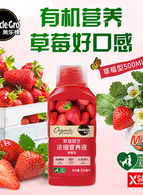 草莓专用营养液植物浓缩液水溶肥
