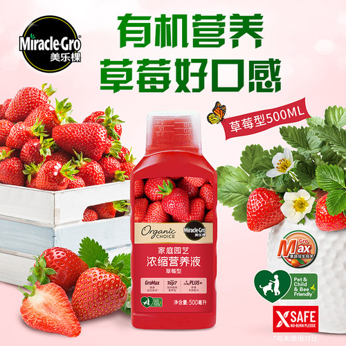 草莓专用营养液植物浓缩液水溶肥
