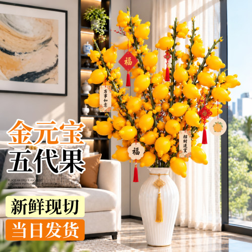 【当日发货】金元宝五代果鲜切