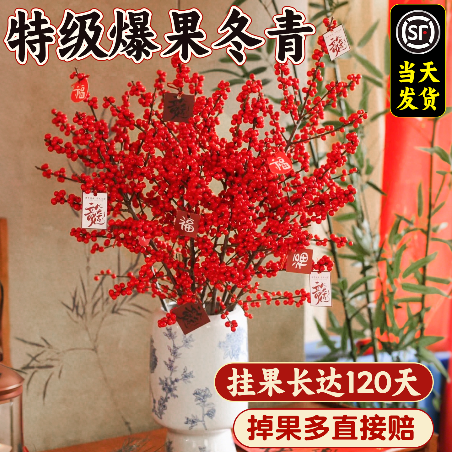 北美冬青红果真花鲜切花新年宵室内家用插花鲜花带果盆栽花卉水养,鲜花速递/花卉仿真/绿植园艺,花材,淘宝优惠券,粉丝福利购,淘宝优惠卷