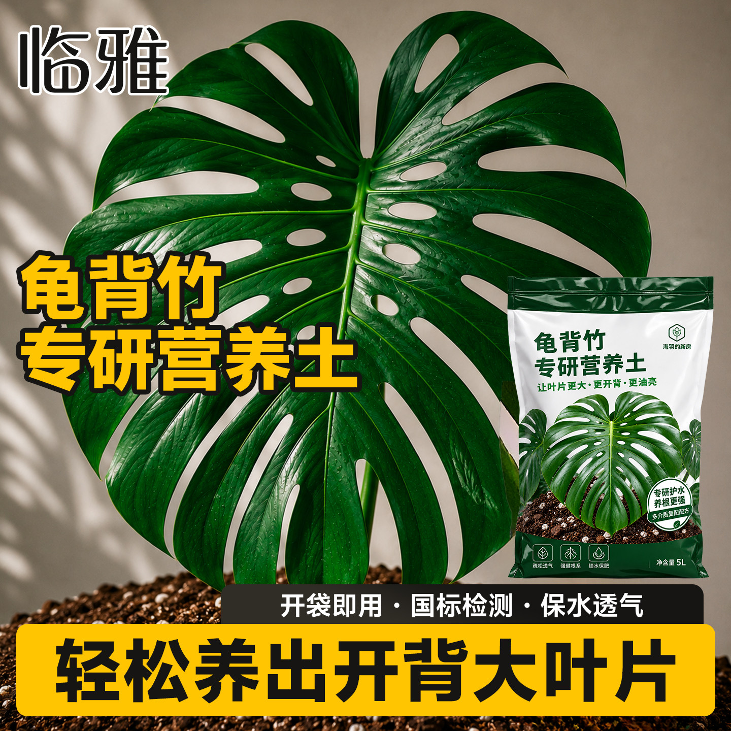 【龟背竹专用土】轻松养出大开背图片