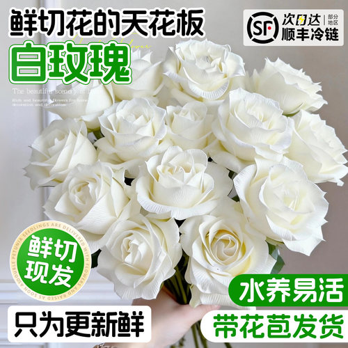 顺丰次日达A级玫瑰花鲜花云南发