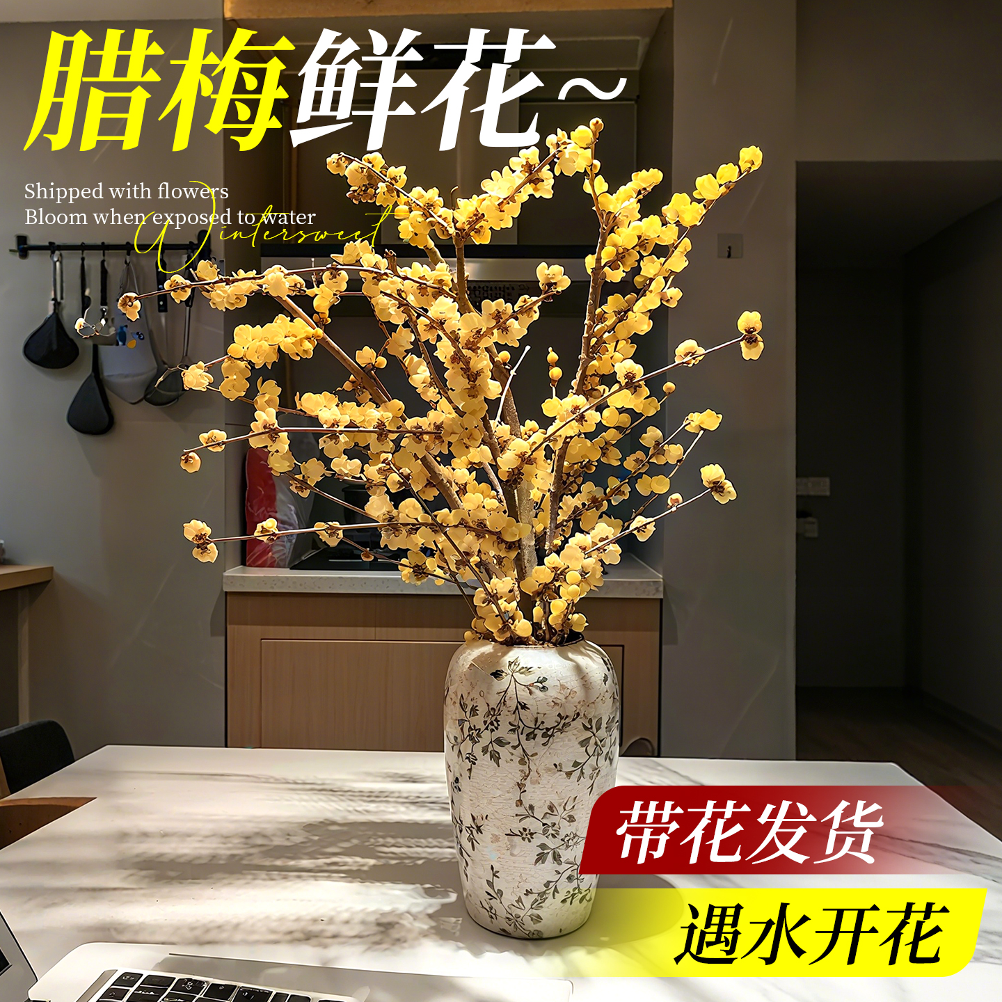 腊梅花鲜花家用插花花卉水培植物干枝花束室内客厅真花绿植花期长