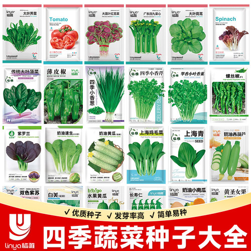 蔬菜种子四季播盆栽菜籽孑种大全
