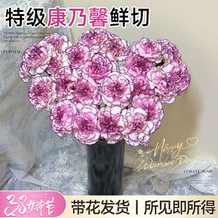 康乃馨鲜花水培云南基地直发母亲节礼物花束插花批发顺丰次日达