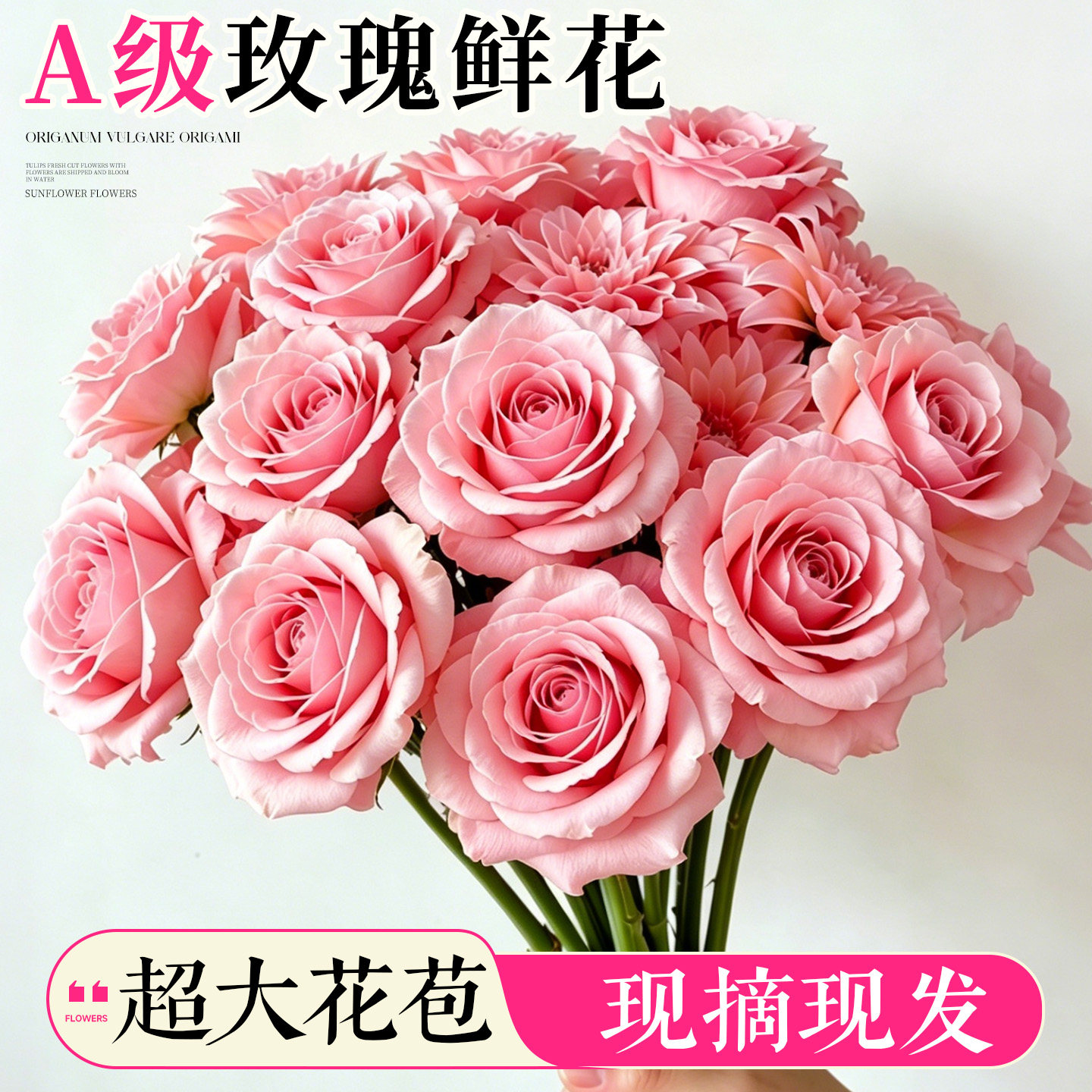 A级玫瑰鲜花超大花苞顺丰次日达图片