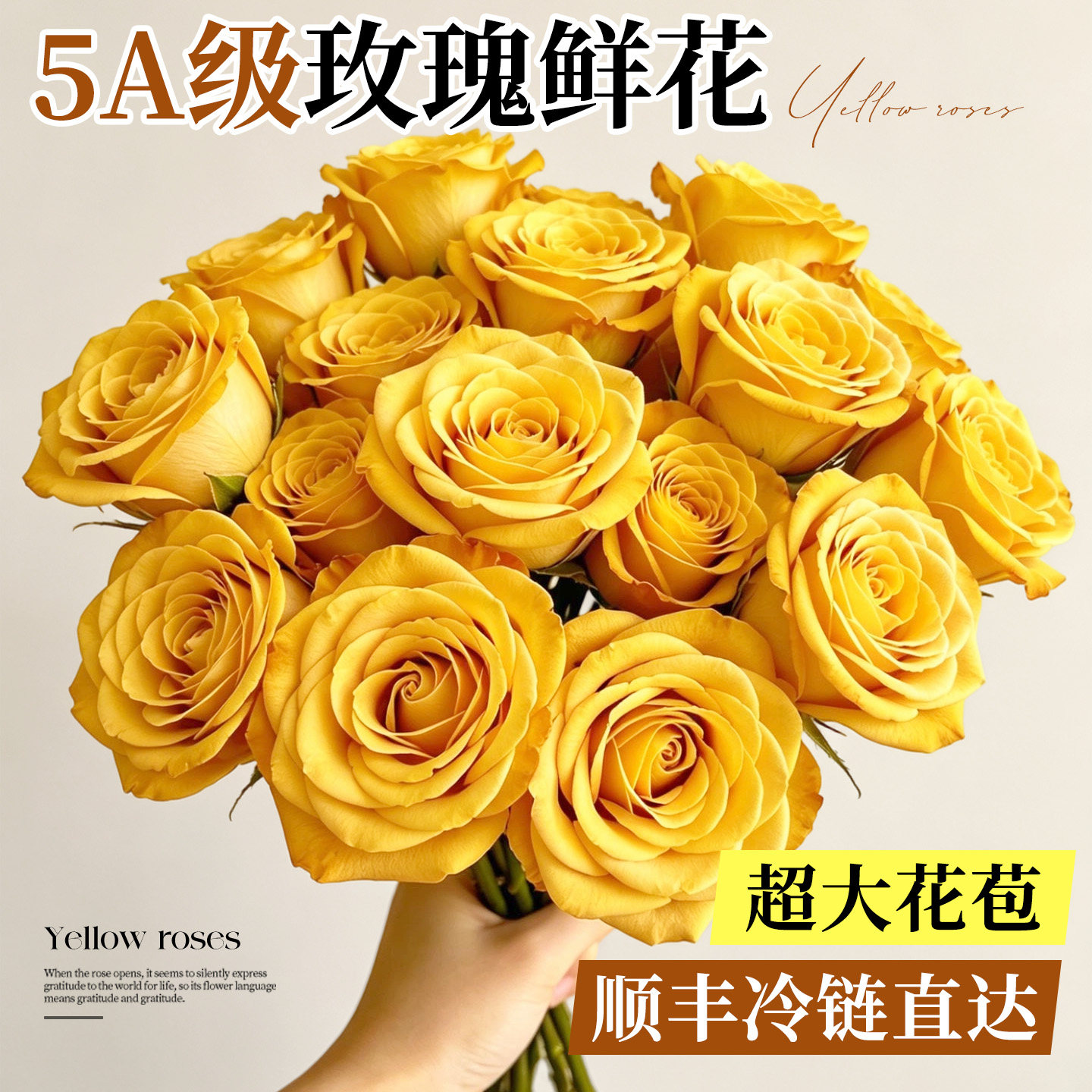 5A级玫瑰花鲜花超大花苞现采现发图片