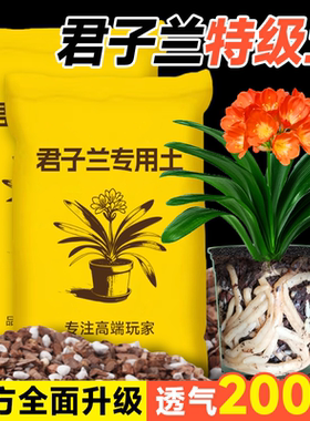 君子兰特级兰花土高端植料无黑土
