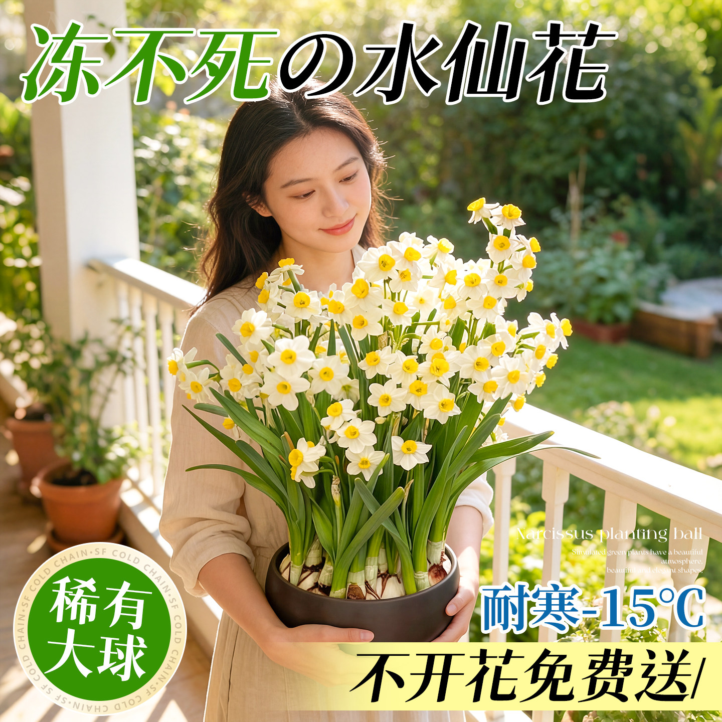 漳州水仙花种球水培植物室内阳台盆栽种子好养郁金花卉成品鲜花苗,鲜花速递/花卉仿真/绿植园艺,种球/裸根,淘宝优惠券,粉丝福利购,淘宝优惠卷